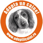 http://www.adoptiicaini.ro