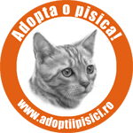 http://www.adoptiipisici.ro